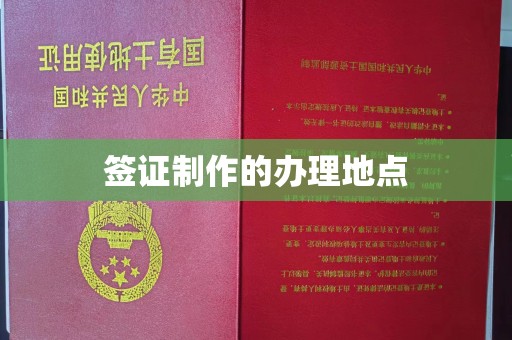 宜丰签证制作的办理地点