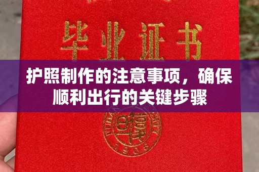 宜丰护照制作的注意事项，确保顺利出行的关键步骤