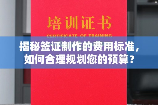 宜丰揭秘签证制作的费用标准，如何合理规划您的预算？