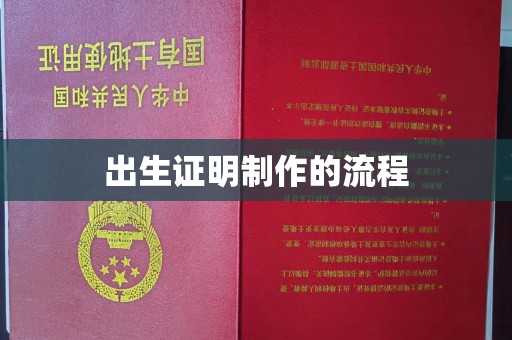 宜丰出生证明制作的流程