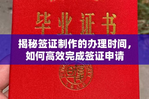 宜丰揭秘签证制作的办理时间，如何高效完成签证申请