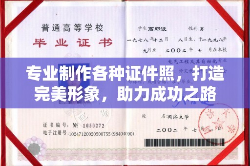 宜丰专业制作各种证件照，打造完美形象，助力成功之路