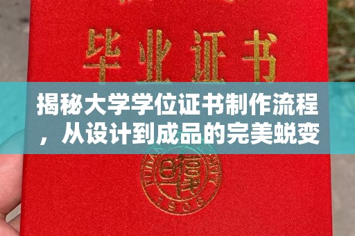 宜丰揭秘大学学位证书制作流程，从设计到成品的完美蜕变