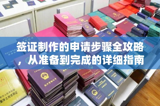 宜丰签证制作的申请步骤全攻略，从准备到完成的详细指南