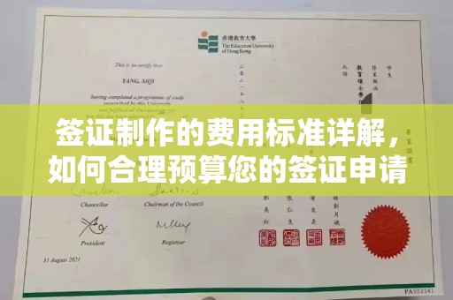 宜丰签证制作的费用标准详解，如何合理预算您的签证申请成本
